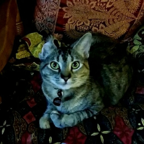 Meet your Posher, Lea - Picture 2 of 2